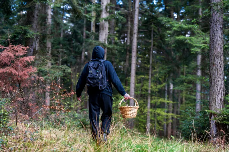 Into the Wild: Meet the Brewers Who Forage Their Own Ingredients From the American Backcountry