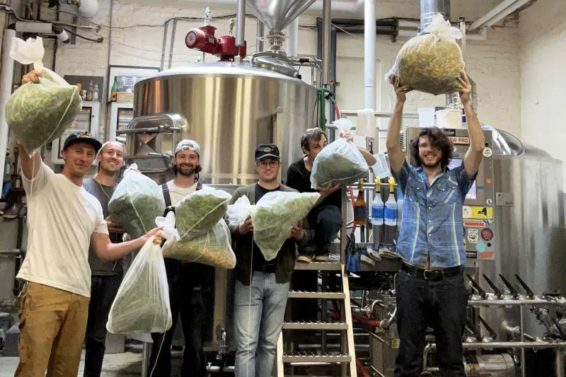 Dirt, Dew, and Dandelions: How Brewers Are Bottling the Taste of Where They Live