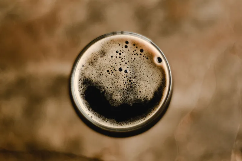 Spore to Glass: The Brewers Turning Mold Into Their Most Powerful Ingredient